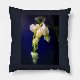 elegant white bleeding hearts, blue #4 Pillow