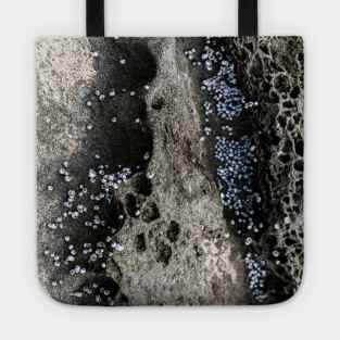 Tiny Shells On Volcanic Rock Tote