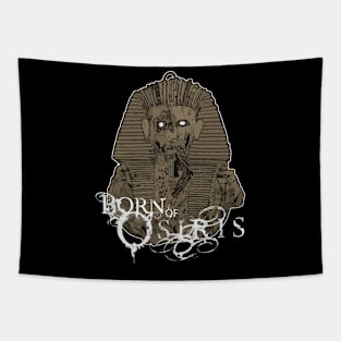 Born Of Osiris Tapestry