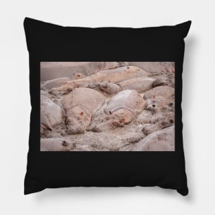 Wallowing Hippos (Serengeti) #4 Pillow