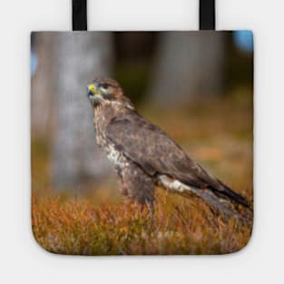 Common Buzzard Tote