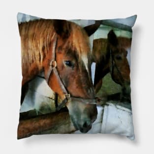 Horses - Brown Horse in Stall Pillow