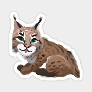 Cute Bobcat Drawing Magnet