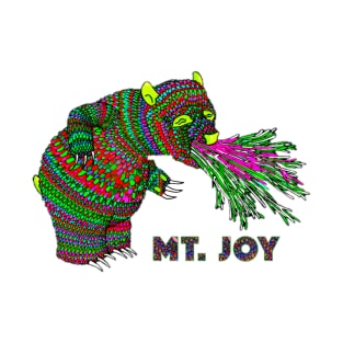 Mt. Joy T-Shirt