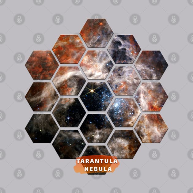 Tarantula Nebula: James Webb Space Telescope by Da Vinci Feather