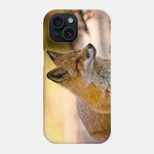 Red Fox Phone Case