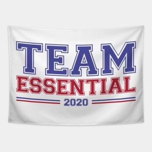 Team Essential 2020 USA Tapestry
