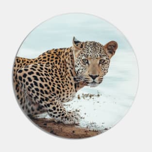 Staring Leopard Pin