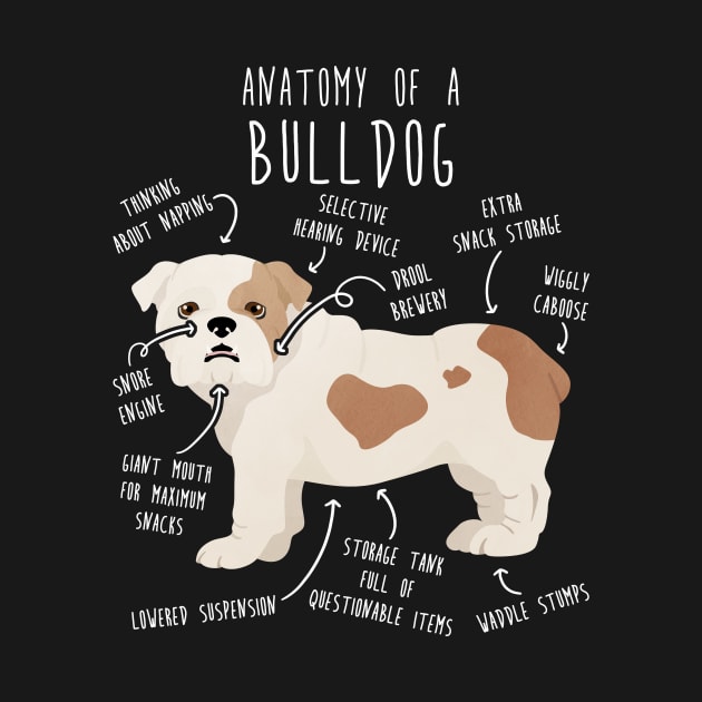 English Bulldog White and Fawn Dog Anatomy by Psitta