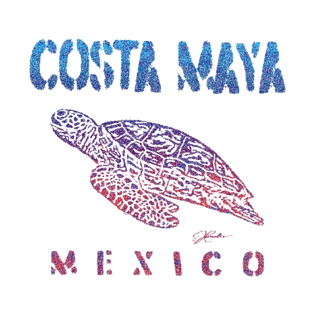 Costa Maya, Mexico, Gliding Sea Turtle by jcombs