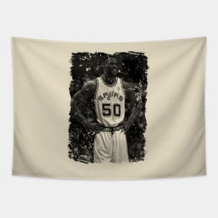 Vintage David Robinson Tapestry