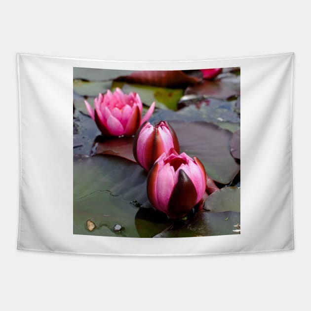 Water Lilies Tapestry by DesignMore21