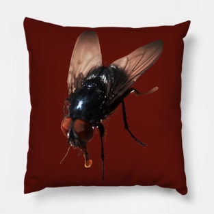 Pretty Giant Fly for Insect Lovers Pillow