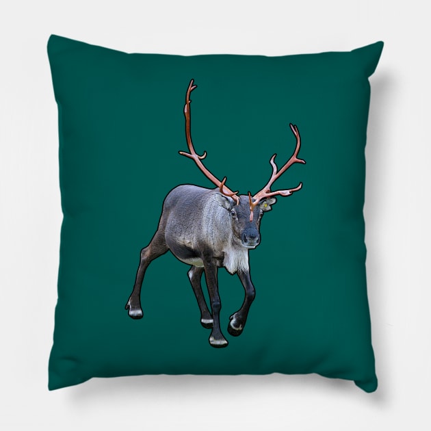 Santa Claus Reindeer Pillow by FotoJarmo