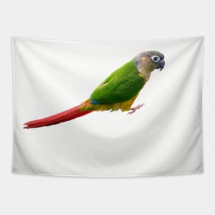 Conure Tapestry