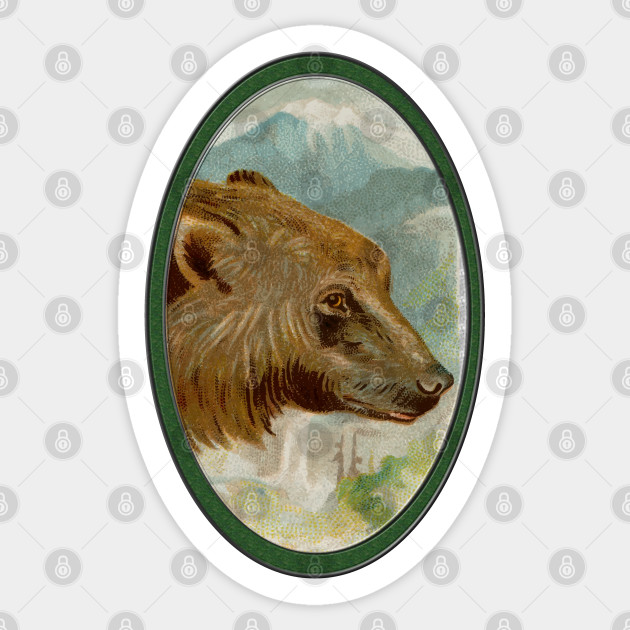 Bear Portrait Painting In The Mountains Beary Nice To Meet You