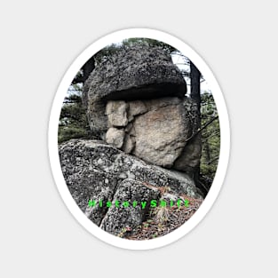 Rock formation that resembles a Mayan face with hat! Magnet