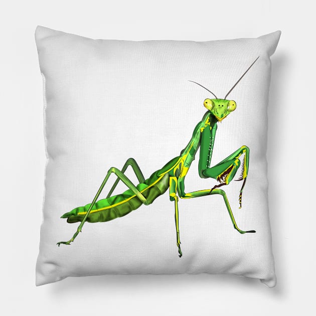 Mantis Pillow by Worldengine
