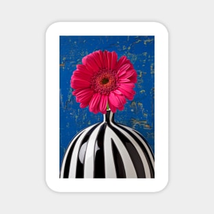 Dark Pink Mum In Striped Vase Magnet