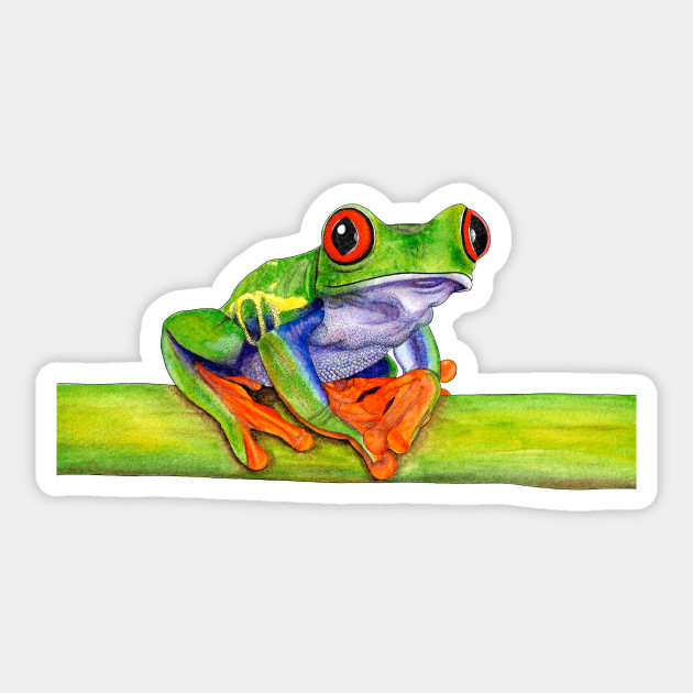 Red Eyed Tree Frog Ink And Watercolour Painting Frog Sticker