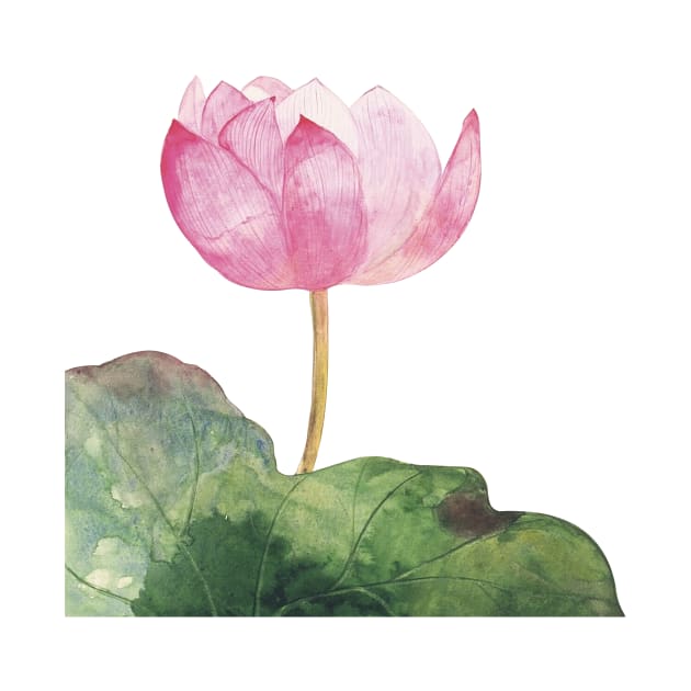 Lotus flower watercolor by emiliapapaya