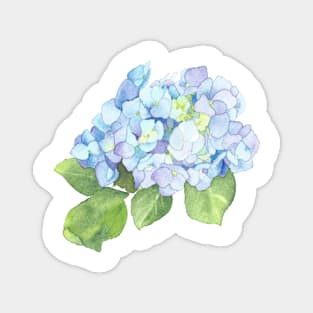 Blue Hydrangea, floral watercolor painting Magnet
