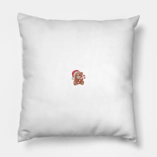 Teddy Bear Pillow