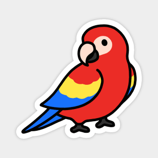 Parrot Magnet