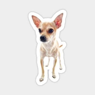 Cute Chihuahua Doggo Magnet