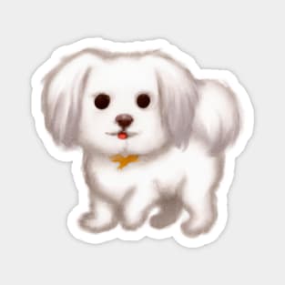 Cute Maltese Dog Drawing Magnet