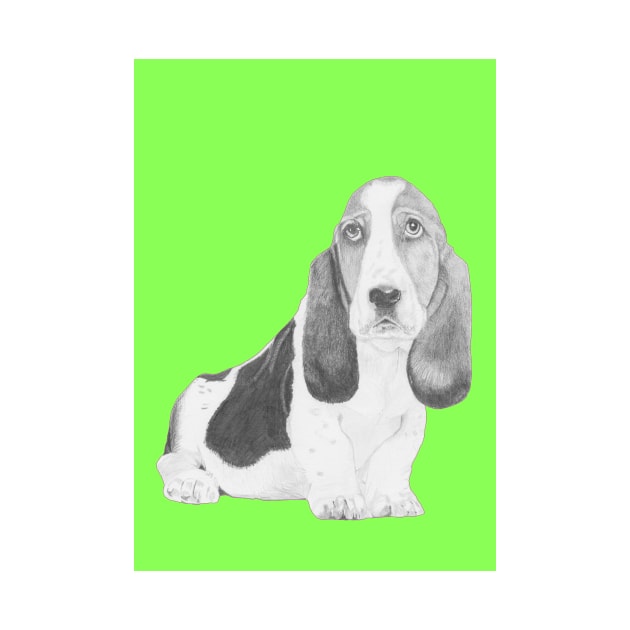 Basset Hound Puppy in Green by DavidASmith