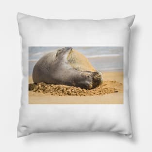 Eepo the Hawaiian monk seal Pillow