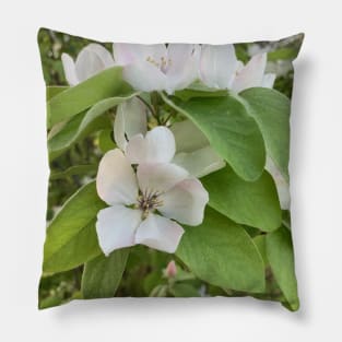 Flowers Pillow