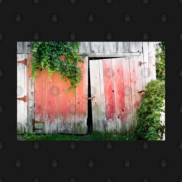 Weathered Barn Doors 1 by Robert Alsop