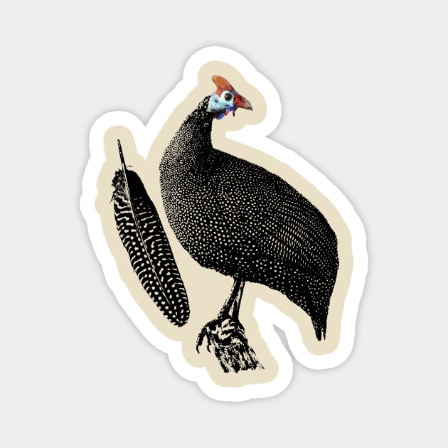 Perching Guineafowl with Decorative Feather | African Wildlife Magnet by scotch