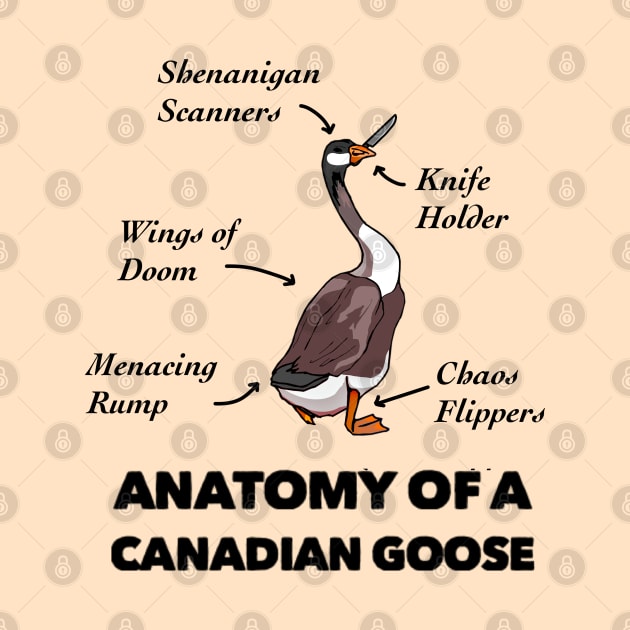 Anatomy of a Canadian Goose by TheUnknown93