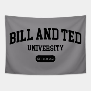 Bill and Ted University Tapestry