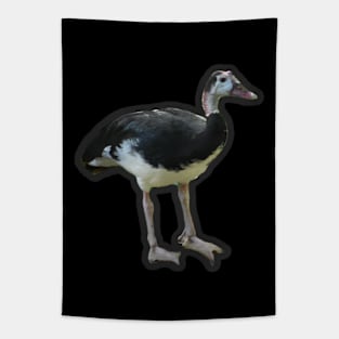 Spur-Winged Goose Tapestry