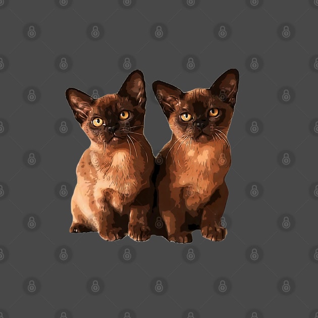 Burmese Cat Cute Kittens by ElegantCat