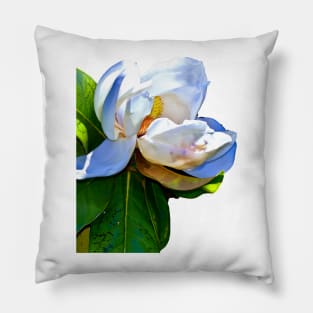 Magnolia Pillow