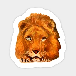 Lion face Magnet