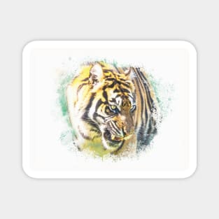 Tiger Animal Feline Wild Life Jungle Nature Freedom Travel Africa Digital Painting Magnet