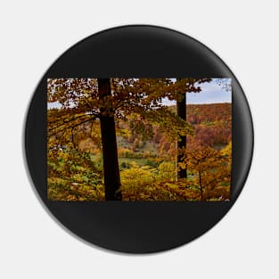 Autumn colours Pin