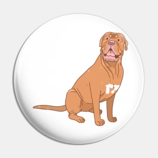 Dogue de Bordeaux Pin