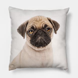 Puggly the Pug Dog Pillow