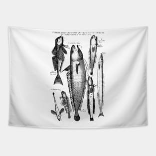 historical fishes design Tapestry