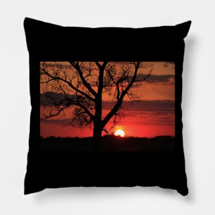 Sunset with a tree silhouette Pillow