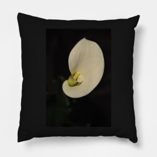 White Calla Lily Pillow