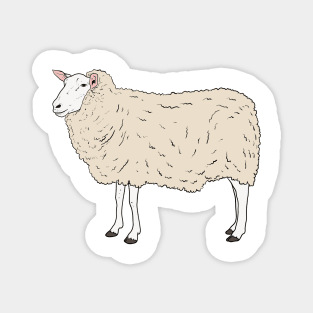 Sheep Magnet