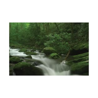 Roaring Fork River Flowing Through The Great Smoky Mountains National Park T-Shirt